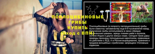ALPHA PVP Баксан