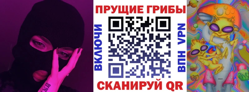 наркошоп  Старица  Псилоцибиновые грибы Psilocybe 